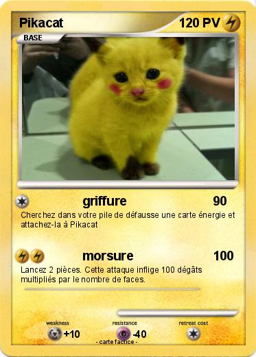 Pokemon Pikacat
