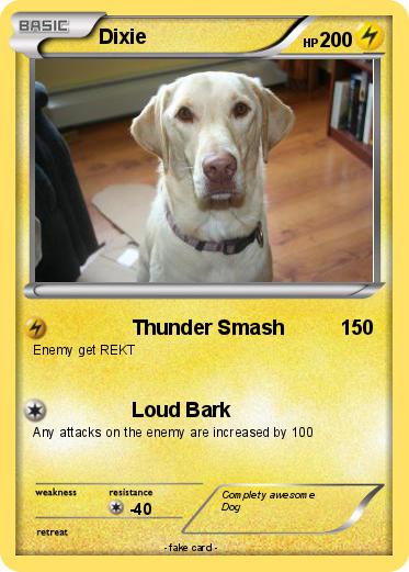 Pokemon Dixie