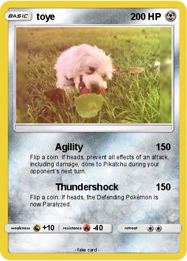 Pokemon toye