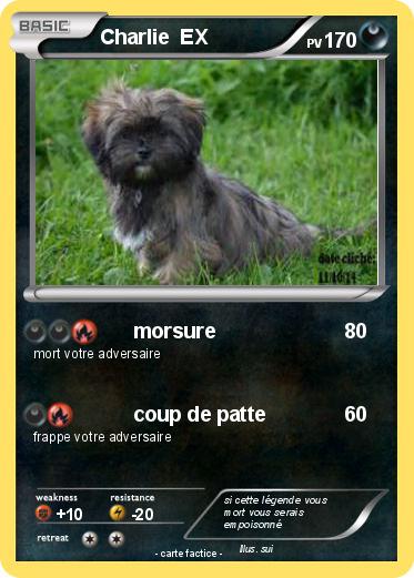 Pokemon Charlie  EX