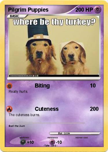 Pokemon Pilgrim Puppies