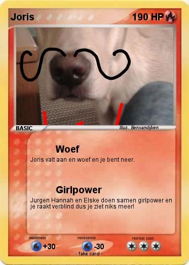 Pokemon Joris