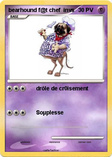 Pokemon bearhound f@t chef  invs