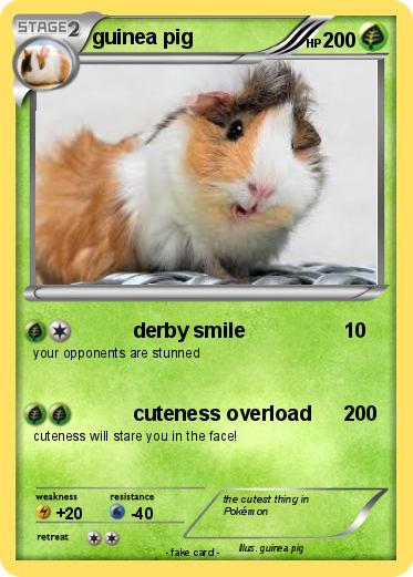 Pokemon guinea pig
