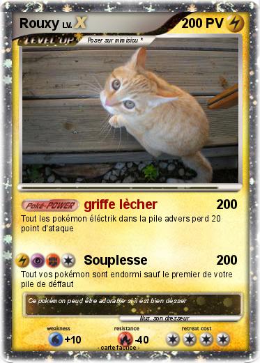 Pokemon Rouxy