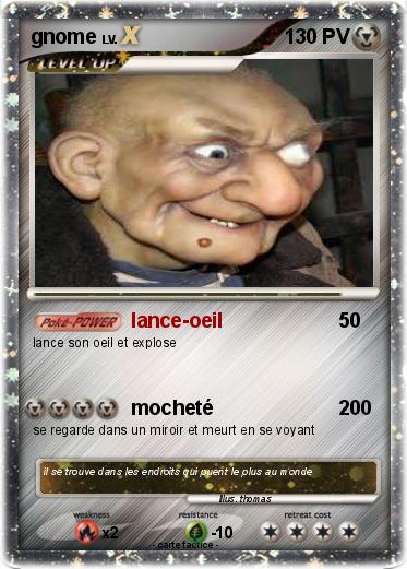 Pokemon gnome