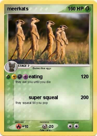 Pokemon meerkats