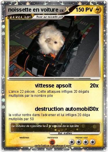 Pokemon noissette en voiture