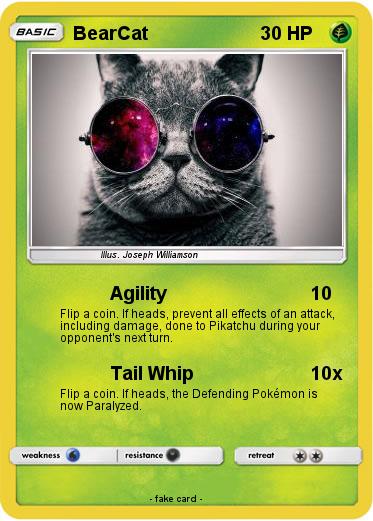 Pokemon BearCat