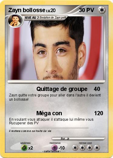 Pokemon Zayn bollosse