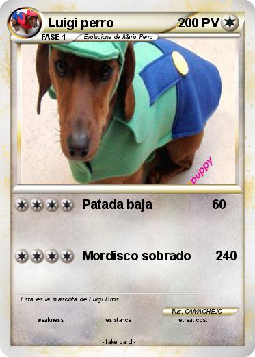 Pokemon Luigi perro