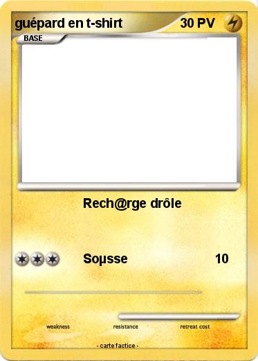 Pokemon guépard en t-shirt