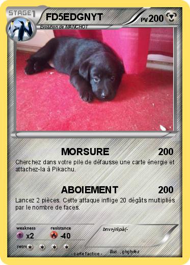 Pokemon FD5EDGNYT