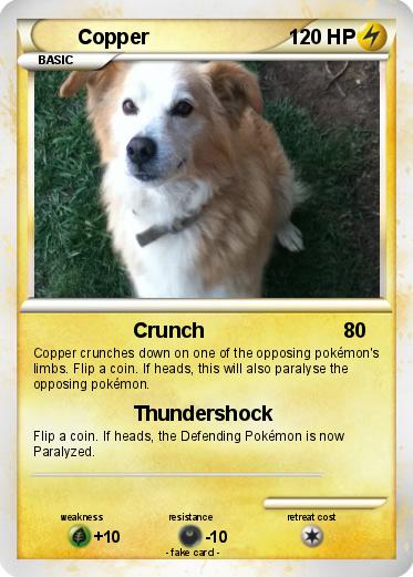Pokemon Copper