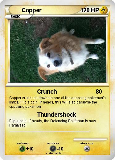 Pokemon Copper