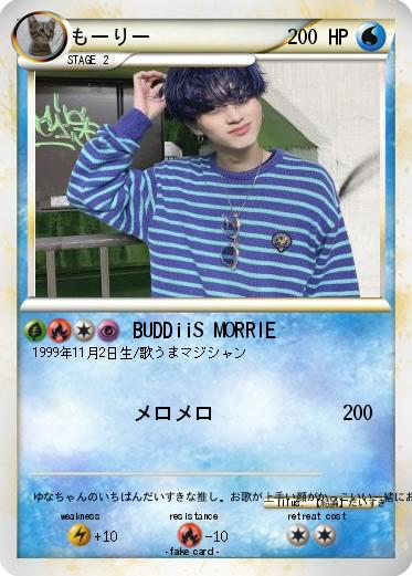Pokemon もーりー