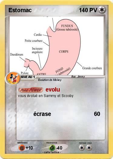 Pokemon Estomac