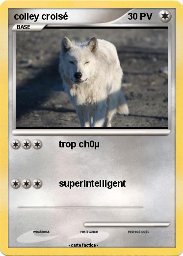 Pokemon colley croisé