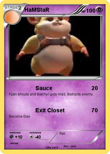 Pokemon HaMStaR