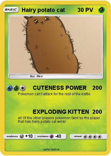 Pokemon Hairy potato cat