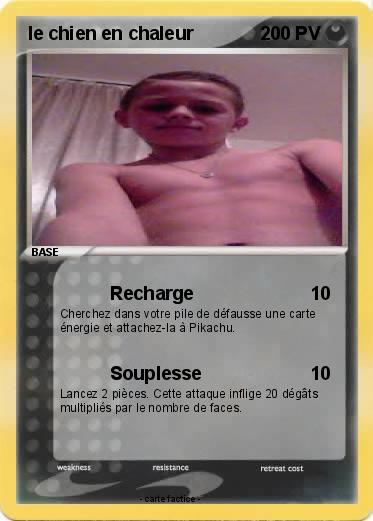 Pokemon le chien en chaleur