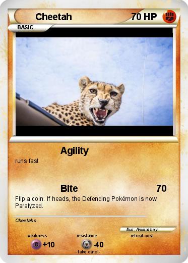 Pokemon Cheetah