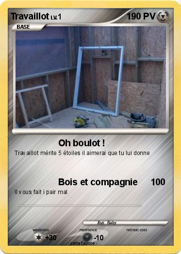 Pokemon Travaillot