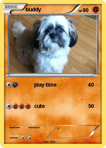 Pokemon buddy