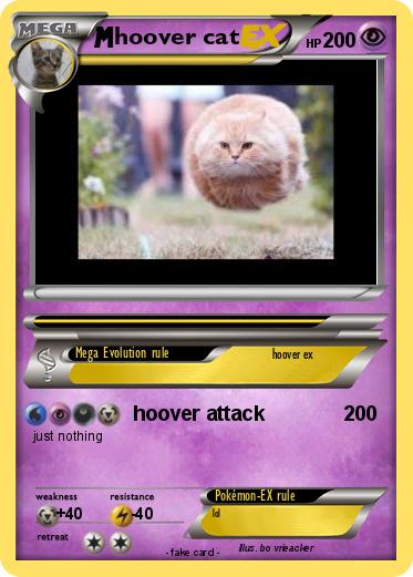 Pokemon hoover cat