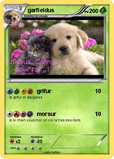Pokemon garfieldus