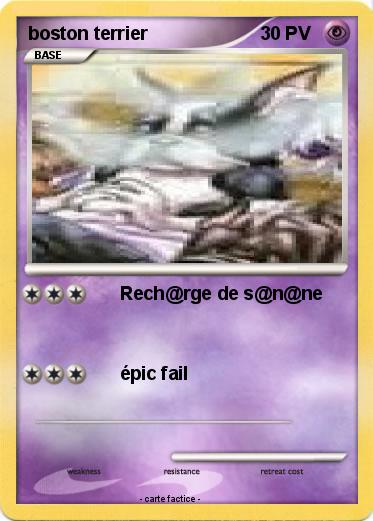 Pokemon boston terrier