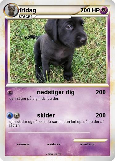 Pokemon fridag