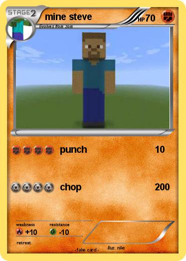 Pokemon mine steve