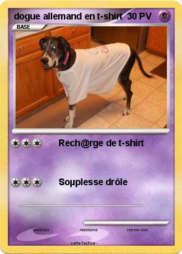Pokemon dogue allemand en t-shirt