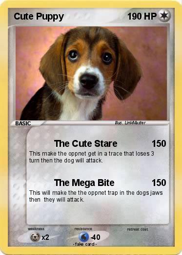 Pokemon Cute Puppy