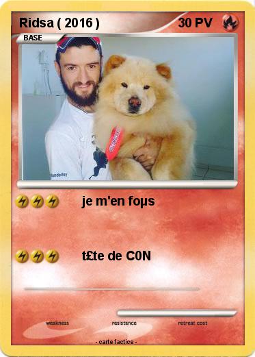 Pokemon Ridsa ( 2016 )