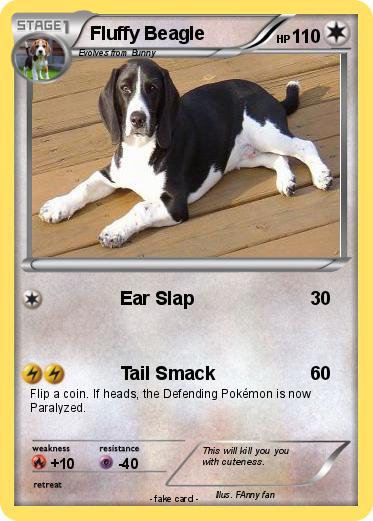 Pokemon Fluffy Beagle