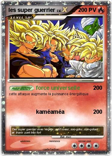 Pokemon les super guerrier