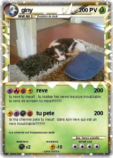 Pokemon giny