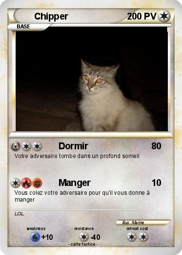 Pokemon Chipper