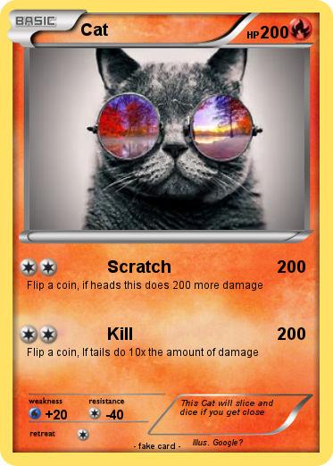 Pokemon Cat