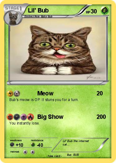 Pokemon Lil' Bub