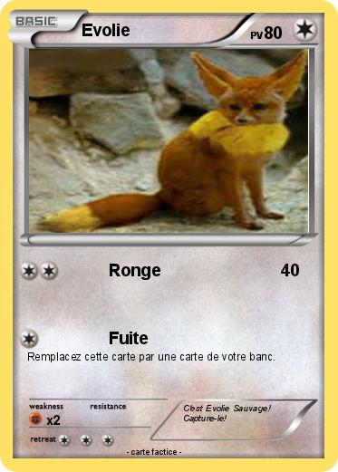 Pokemon Evolie