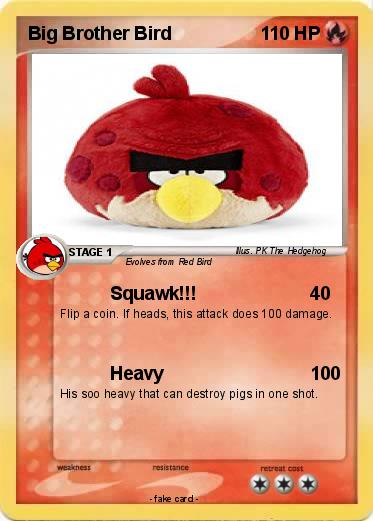 Pokemon Big Brother Bird