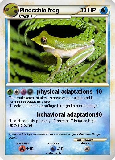 Pokemon Pinocchio frog