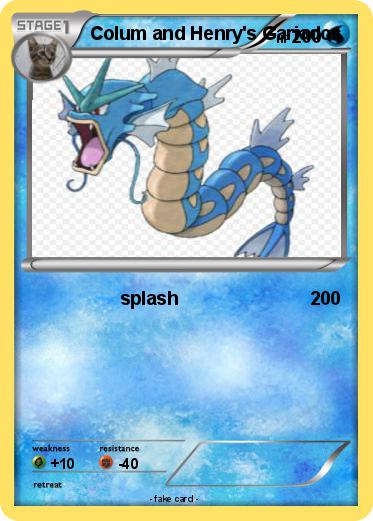 Pokemon Colum and Henry's Gariados