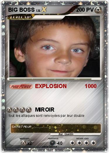 Pokemon BIG BOSS