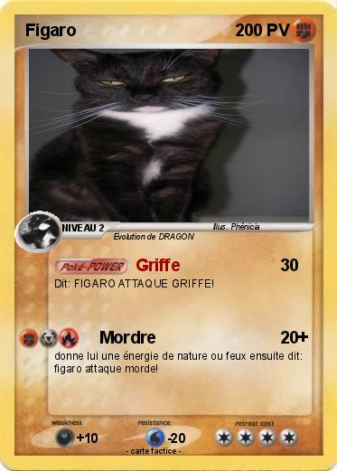 Pokemon Figaro