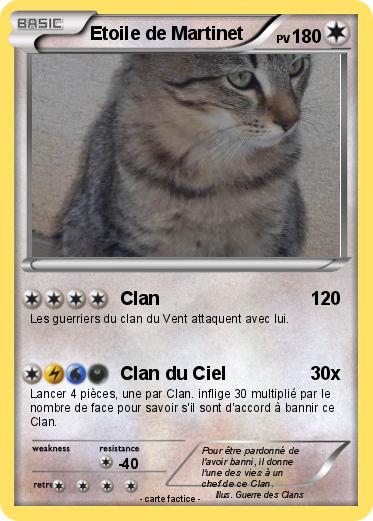 Pokemon Etoile de Martinet