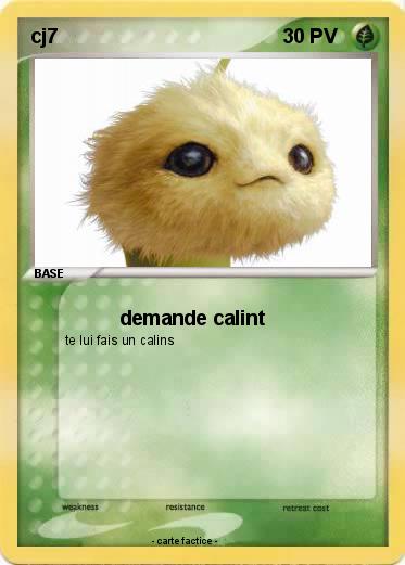 Pokemon cj7